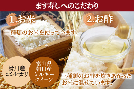 【訳あり】魚屋が作ったネタの厚います寿し　ご家庭用に！大人気な簡易包装 ます寿しを１段でお届け【本州のみ発送】※発送前に在宅確認の電話連絡をいたします！ [A-024009]