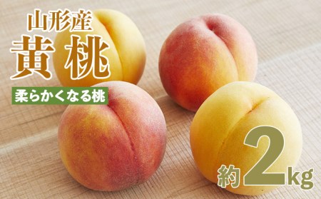 山形産 黄色い桃(有袋・無袋)2kg(5～10玉)[柔らかくなる桃] 【令和8年産先行予約】FU21-166 くだもの 果物 フルーツ 山形 山形県 山形市 2026年産