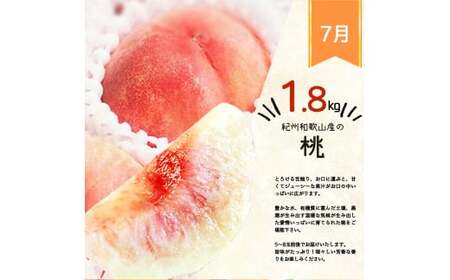 定期便 【全3回】果物定期便 あんぽ柿 レモン 桃【tkb391】