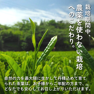 日本茶 緑茶 400g (200g×2袋) 栽培期間中 農薬不使用 茶葉