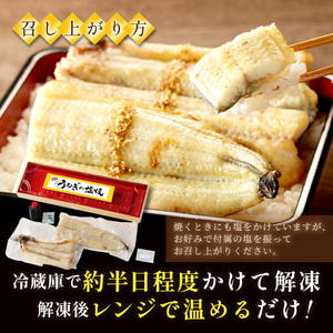 【うなぎ】新月の塩使用鰻の塩焼き1尾（白焼き風）