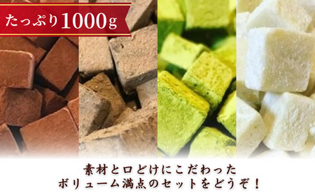 訳あり 濃厚 生チョコレート 4種セット 各250g 生チョコレート ちょこちょこ