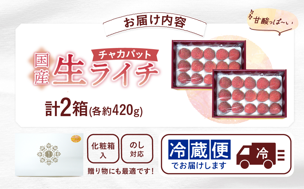 先行予約 数量限定 希少 国産 綾 生ライチ 2箱セット 1種類（化粧箱入り）果物 フルーツ くだもの 国産ライチ 2027年 トロピカルフルーツ 南国フルーツ 冷蔵 ジューシー 高級 デザート ギフト 贈り物 プレゼント ご褒美 宮崎県 送料無料【JA綾町】_A0114-2691