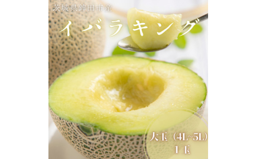 ＜山一ファーム＞＜数量限定＞茨城県オリジナル品種!!イバラキング(4L～5L・1個入り)【1590733】
