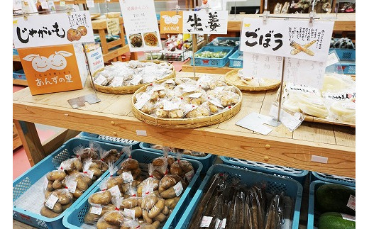 【年6回偶数月】穫れたて!旬の野菜・果物定期便★あんずの里【随時開始】[F6260]