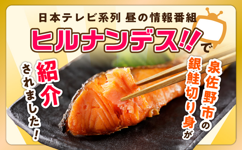 【訳あり】銀鮭 切り身 1kg(約9切れ)【規格外 甘塩 バラ凍結 海鮮 魚介 鮭 さけ しゃけ お弁当 朝食 おかず 簡単調理 家計応援】 kgp0125