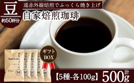 A-165 ＜挽かずに豆の状態でお届け＞珈琲豆本来のピュアな味にこだわり、遠赤外線焙煎でふっくらと焼き上げた自家焙煎珈琲豆・霧島天然水使用！《珈琲豆100g×5種詰め合わせ》【ノア・コーヒー】