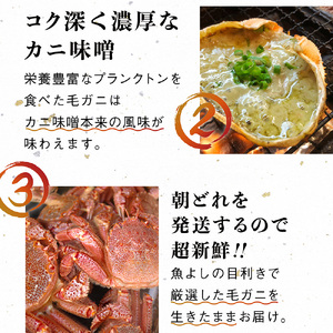 【令和7年発送】三陸産！活毛ガニセット 400g×100杯【2025年2月～4月発送】