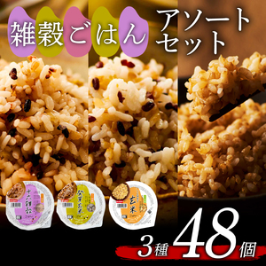 雑穀ごはんアソートセット 3種 160g×48 個 十六雑穀 発芽玄米 こしひかり玄米 160g 3種 各8個