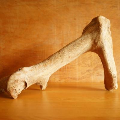 ふるさと納税 屋久島町 【屋久島の流木】中サイズ　タイプ1