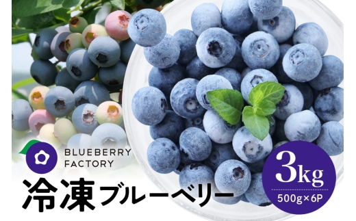冷凍ブルーベリー＜真空パック保存＞3kgパック(500g×6P) 完熟 果物 手摘み ブルーベリー 果実 冷凍 ベリー フルーツ くだもの 日時指定可 岐阜県 川辺町 ブルーベリーファクトリー  A16-018
