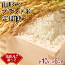 【ふるさと納税】 発送月が選べる！《定期便6回》 JA 山形のブランド米 定期便 10kg×6か月 『JA山形おきたま』 山形県 南陽市 [1158]