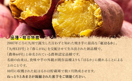 【紅はるか】さつまいも Mサイズ 5kg【さつまいも 香南市産さつまいも おすすめさつまいも 甘いさつまいも 人気さつまいも さつまいも 期間限定さつまいも】 at-0008
