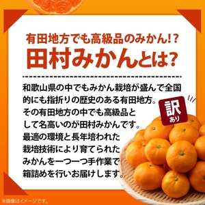 AB7301_ 【2026年先行予約】ご家庭用 田村みかん サイズ混合(2S～２L)  約5kg _  わけあり 訳あり 和歌山プレミアムブランドみかん 小玉 中玉 大玉 蜜柑 ミカン フルーツ 果物