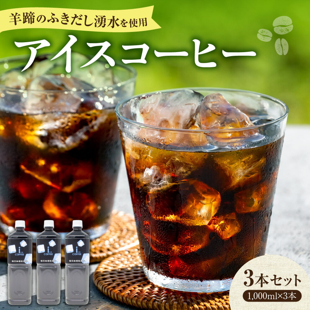 【ふるさと納税】 アイスコーヒー 3本 羊蹄山 湧き水 ネルドリップ 1000ml 1L 厳選 深煎り 濃厚 苦み 飲料 珈琲 北海道 札幌市