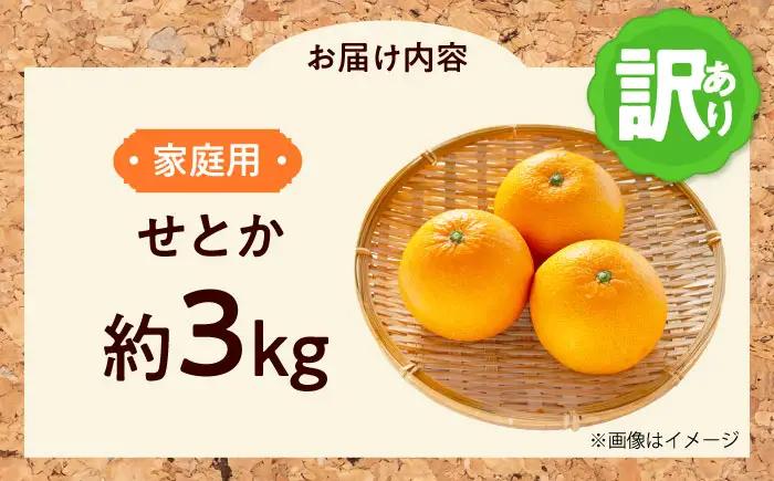 みかん 訳あり せとか 約3kg フルーツ 果物 みかん 訳あり BJAZ004