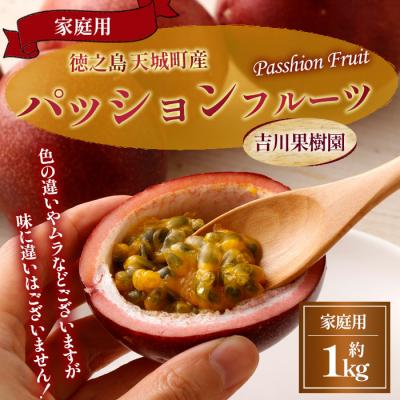 ふるさと納税 天城町 【2026年発送】徳之島 天城町 吉川果樹園 パッションフルーツ 家庭用 1kg トロピカルフルーツ