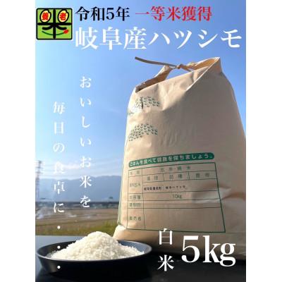 ふるさと納税 養老町 令和6年産　岐阜ハツシモ　5kg　白米 | 