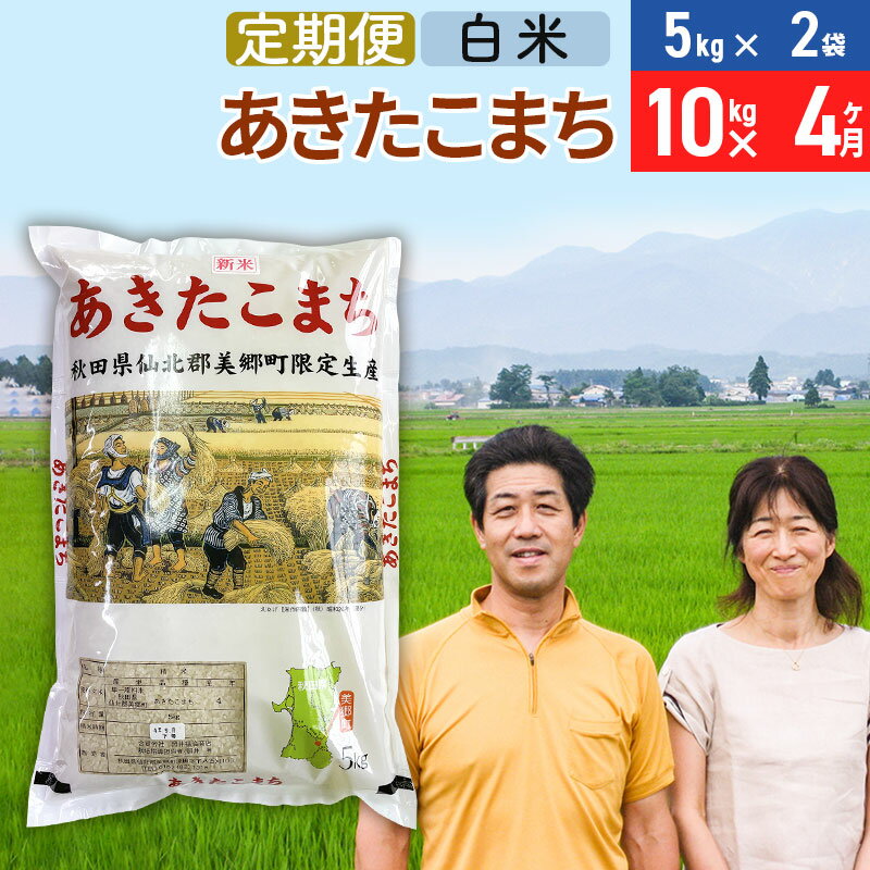 【ふるさと納税】《定期便4ヶ月》令和7年産 あきたこまち特別栽培米10kg（5kg×2袋）×4回 計40kg【白米】秋田県産あきたこまち 4か月 4ヵ月 4カ月 4ケ月 秋田こまち お米 秋田