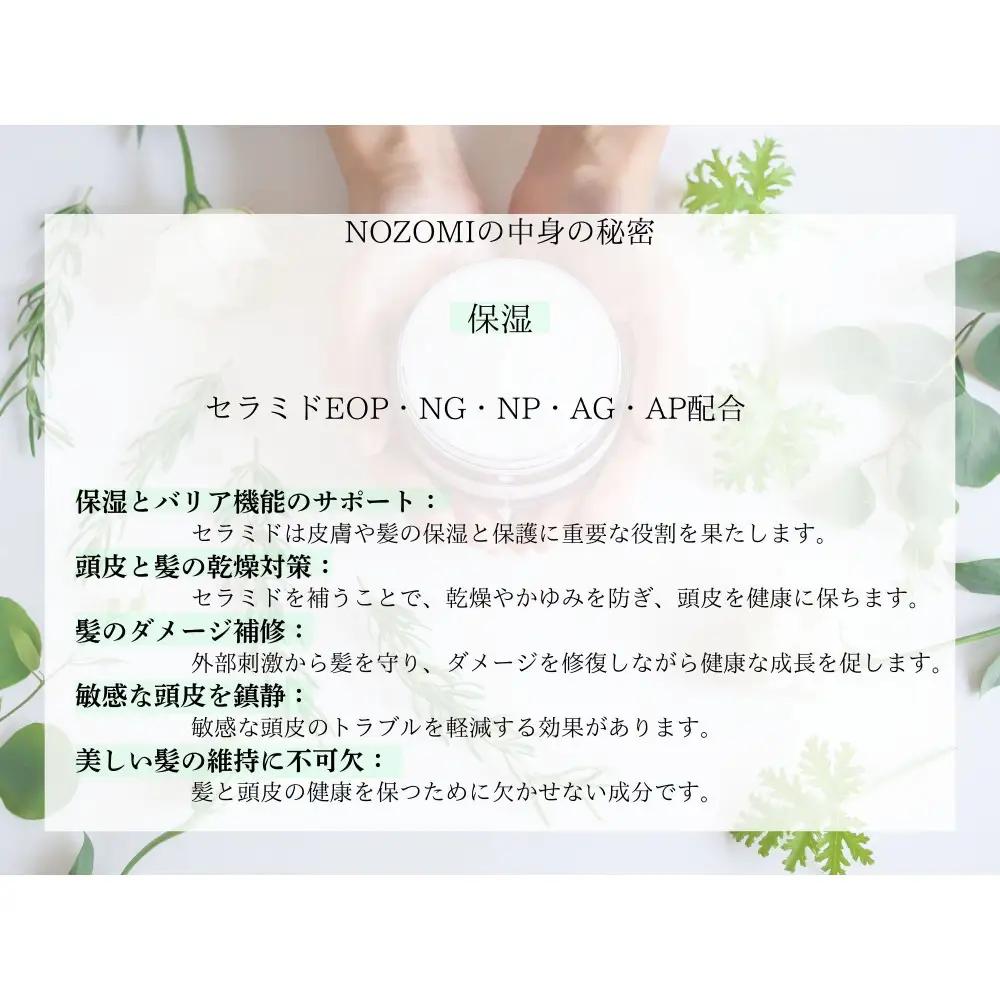 【福岡市内製造】NOZOMIボタニカルシャンプー　400ml（2本セット）