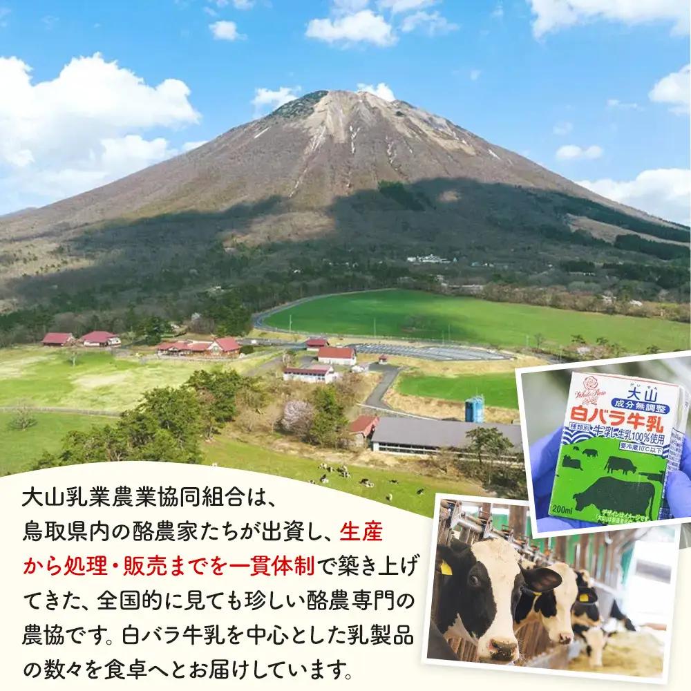 1012.白バラのチーズギフト