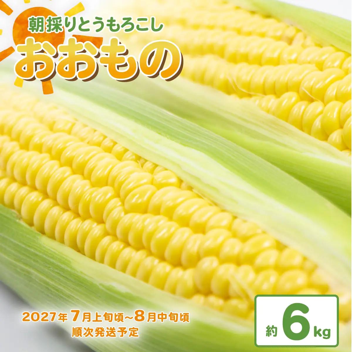 とうもろこし おおもの 約6kg 茨城県産 トウモロコシ
