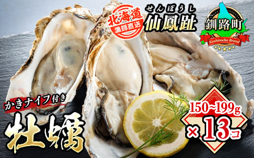 北海道 仙鳳趾名産 牡蠣 150g〜199g×13コ＋かきナイフ付き かき漁師直送K4-3 【センポウシ : 釧路町の東 厚岸湾の西 カキの名産地】 仙鳳趾 せんぽうし 牡蠣 生食用 殻付き 生牡蠣 絶品 産地直送 殻付き牡蠣 北海道 釧路町 釧路超 特産品