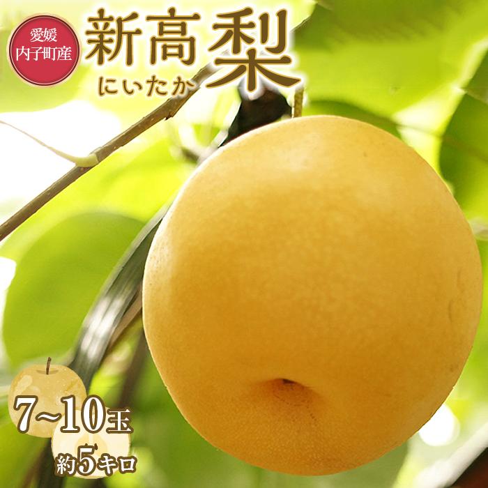 【ふるさと納税】内子町産　新高梨【7～10玉】2025年9月下旬から発送 | フルーツ 果物 くだもの 食品 人気 おすすめ 送料無料