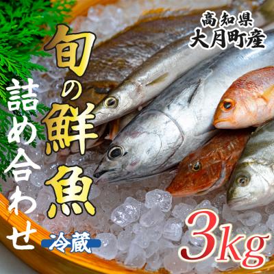 ふるさと納税 大月町 高知県産 鮮魚 詰め合わせ便 3kg 谷鮮魚食堂 刺し身 煮付け 産地直送 生魚 刺身 刺し身