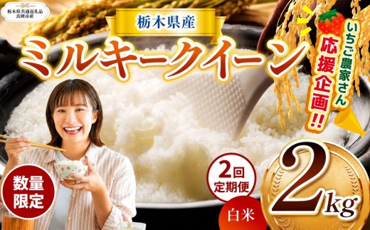【定期2回】訳あり 数量 限定 定期便 令和8年度産 ミルキークイーン 約 2kg | とちぎの星 ミルキークイーン  玄米 白米 ごはん おいしい  ふるさと納税 那珂川町 栃木県【栃木県共通返礼品】