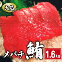 【ふるさと納税】 天然 メバチまぐろ切身 約1.6kg 160g×10パック まぐろ 鮪 刺身 赤身 肉 鉢マグロ ネギトロ マグロ漬け 海鮮丼 丼 寿司 鉄火丼 手巻き寿司 魚 海鮮 魚介 おつまみ おかず 冷凍 小分け 個包装 お取り寄せ 国産 千葉県 銚子市 和田水産