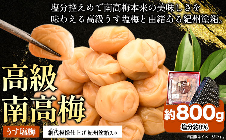 高級南高梅うす塩 800g 網代模様仕上紀州塗箱入り 澤株式会社《90日以内に出荷予定(土日祝除く)》和歌山県 日高町 梅干し うす塩梅 紀州南高梅 紀州塗 送料無料