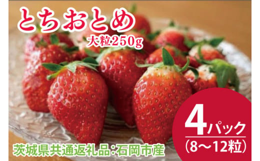 【先行予約】とちおとめ大粒250g（8〜12粒）×4pc（茨城県共通返礼品：石岡市産）合計約1㎏　※2024年12月初旬～2025年3月下旬頃に順次発送予定(CD001)