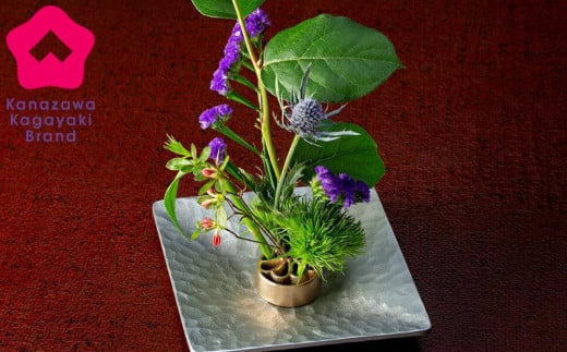 【レビューキャンペーン実施中】花をみずみずしく長持ち！針のない剣山 / Petal-S 石川 金沢 加賀百万石 加賀 百万石 北陸 北陸復興 北陸支援