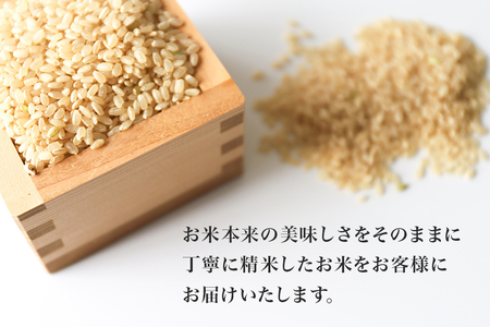 令和5年産米 小美玉産コシヒカリ 10kg こしひかり お米 白米 茨城県 小美玉市 17-K