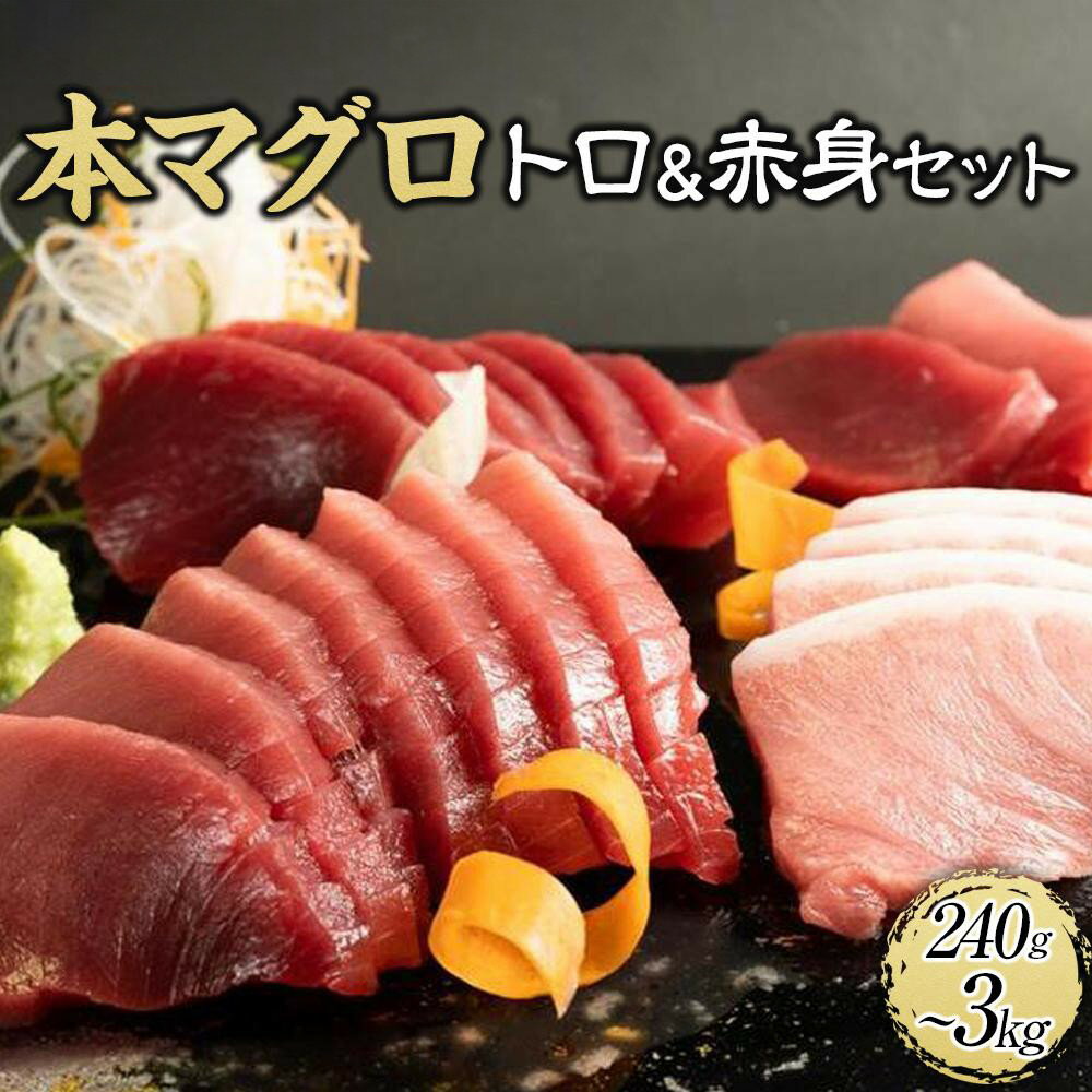 【ふるさと納税】［選べる内容量（240g・500g・1.35kg・3kg）］本マグロ（養殖）トロ＆赤身セット | 中トロ 中とろ まぐろ 鮪 本マグロ マグロ 鮪 赤身 トロ 刺身 予約 冷凍 年内配送