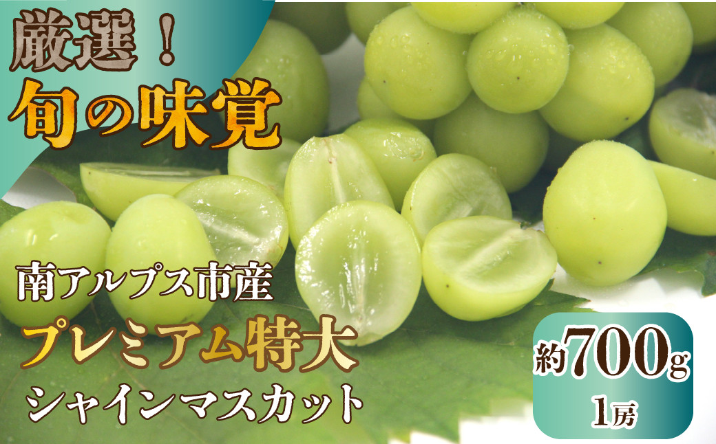 
            【25年発送先行予約】厳選！南アルプス市産　プレミアム特大シャインマスカット　700g以上　１房 ALPDD011
          