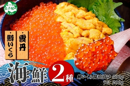 3402. 2種 海鮮丼 鱒 いくら醤油漬け 100g×5 約5-6人前 ウニ チリ産 雲丹 うに 100g×2 セット いくら イクラ いくら醤油 魚卵 ます マス 海鮮 送料無料 北海道 弟子屈町