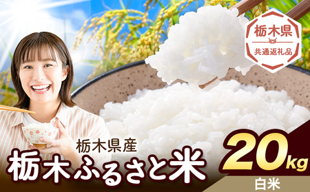 栃木ふるさと米 白米 20kg《7-14日以内に出荷予定(土日祝除く)》おこめ【栃木県共通返礼品】