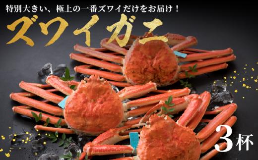 【味覚の王様 加能ガニ ・ 姫丸 の 一番 ズワイガニ 】 11 - 12月 配送 1番ズワイ 茹で上げ後 約 1.0kg × 3杯