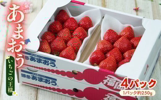 【2026年2月上旬から3月末発送】【春】福岡産 あまおう 4パック 1kg以上 冷蔵 2月上旬から3月末まで順次発送 旬 いちご 苺 あまおう フルーツ 果物 くだもの スイーツ ギフト 福岡県 川崎町