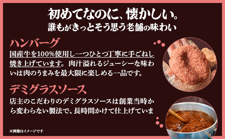 デミグラスソース ハンバーグ 200g×2 計400g キッチンふじ 冷凍 《60日以内に出荷予定(土日祝除く)》ジューシー 肉 牛肉 熊本県御船町 惣菜 お弁当 加工食品---mifune_fzi_