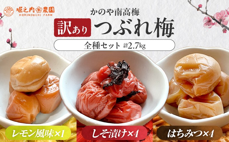 
            2583 ＜訳あり＞ つぶれ梅 梅干し かのや南高梅 食べ比べ A  （はちみつ梅・しそ梅・レモン風味） 各1袋 ×300g （計900g）　KN033-007-01
          