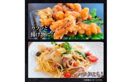 アオリイカ ゲソ 500g×4パック 2kg【アオリイカ】