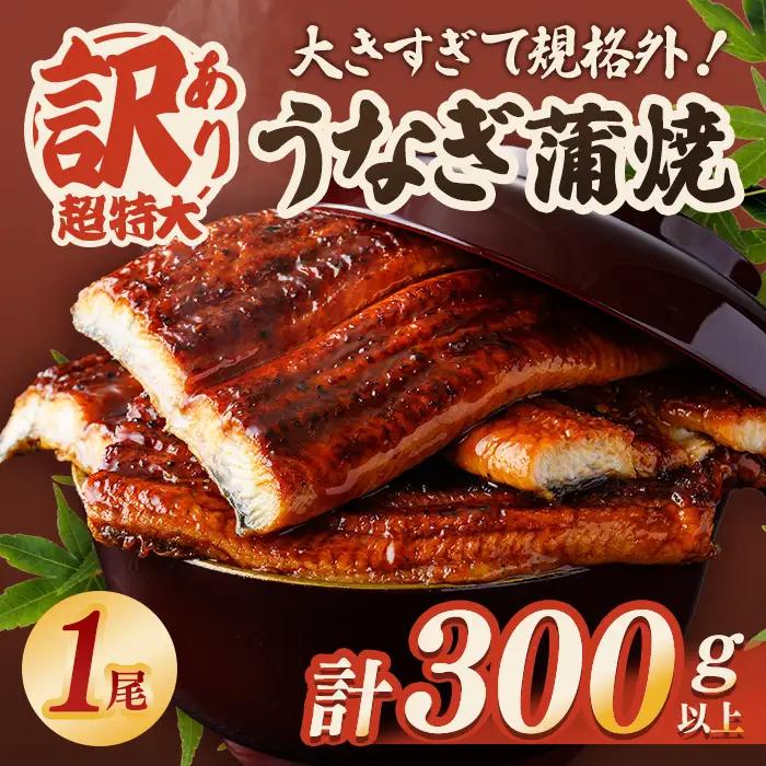 うなぎ 訳あり 1尾 計300g以上 すぐ届く【うなぎ】【ho1684】