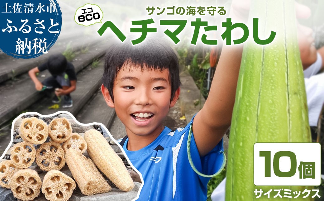 
            サンゴの海を守る エコ ヘチマたわし サイズミックス 10個セット スポンジ お風呂 掃除  ボディ キッチンスポンジ 台所 掃除スポンジ スキンケア 入浴 束子 タワシ へちま【R01564】
          
