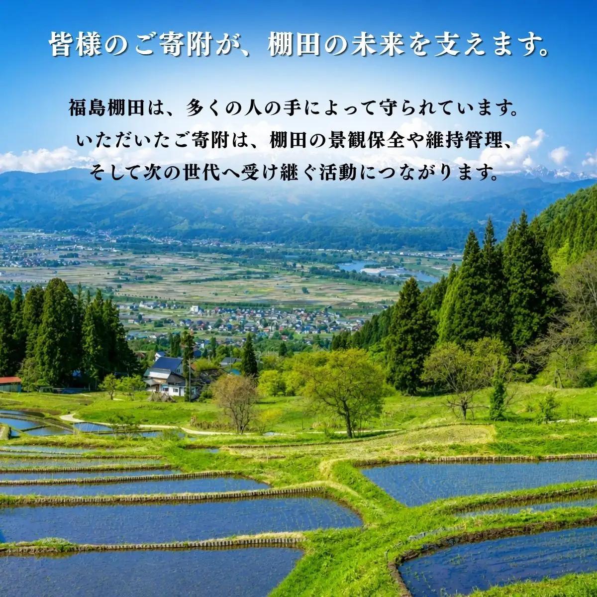 【新米予約】 棚田米 ゆうだい21  (5kg)  福島棚田 