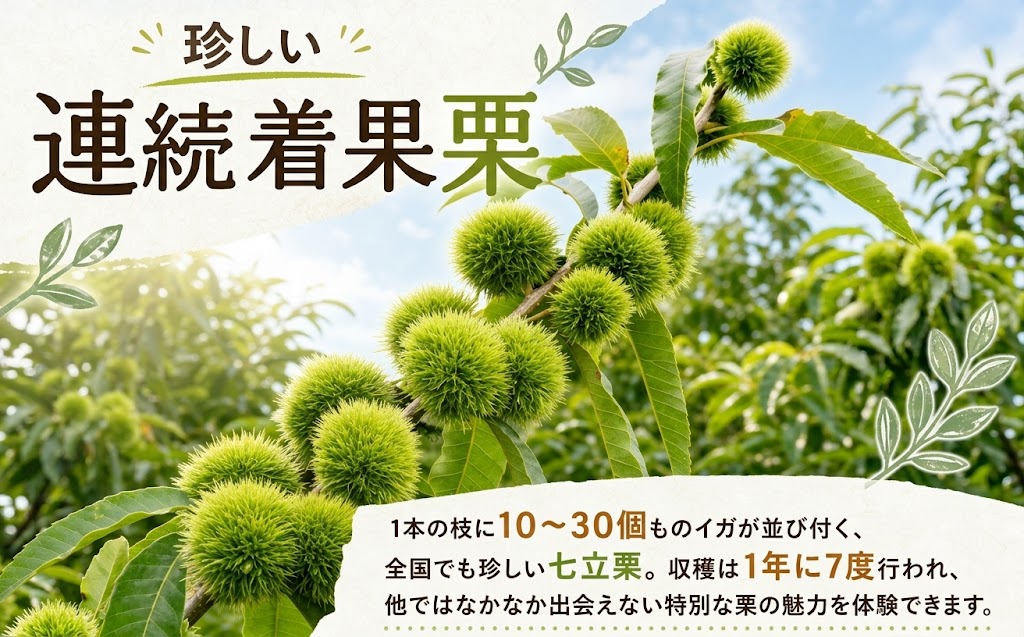 【冷凍】ゆで七立栗 200g × 2 パック 400g 茹で栗 冷凍 真空パック ゆで くり クリ 小粒 あまい 七立栗 ななたてくり 和栗 秋 贅沢 秋の味覚 旬 人気 お手軽 簡単 調理 国産 フルーツ くだもの おやつ お菓子 秋ギフト クール 小分け ゆでぐり マロン モンブラン 栗スイーツ 栗きんとん 季節限定 期間限定 ふるさと納税栗 高知 黒潮町 馬荷 ［1314-2］
