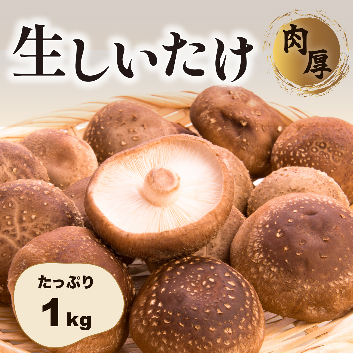 肉厚生しいたけ 1kg　椎茸 しいたけ シイタケ 肉厚 生椎茸 国産 [DL003ya]