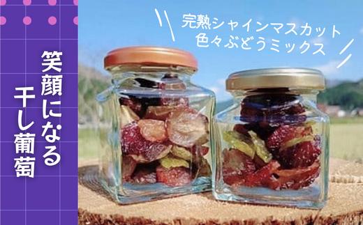 笑顔になる干し葡萄【完熟シャインマスカット】【色々ぶどうミックス】瓶詰セット(H1-2)